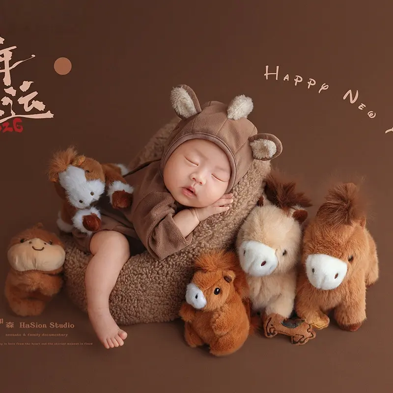 2026 Brown Horse Theme Set - Newborn Photography Props